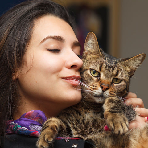 Cat showing affection by rubbing woman's face