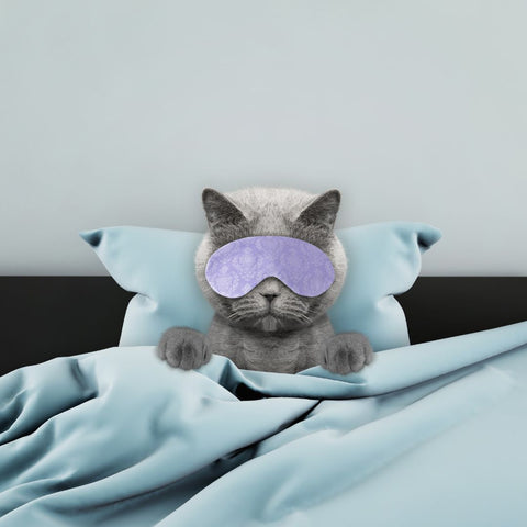 cat sleeping in-bed with eyes covered