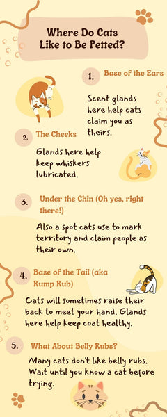 Infographic explaining five areas where cats like to be petted