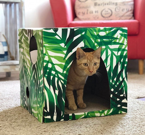 Orange tabby cat inside Kitty Jungle Cardboard Cat House