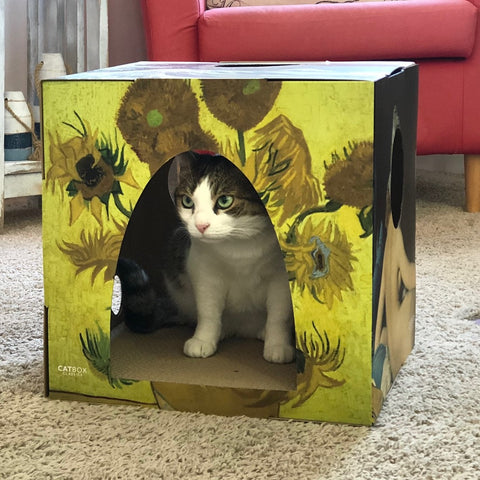 Grey and white cat inside Meow Masterpieces Cardboard Cat House