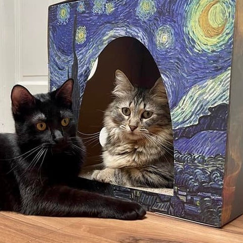 Black cat and grey cat inside Furry Masterpieces Cardboard Cat House
