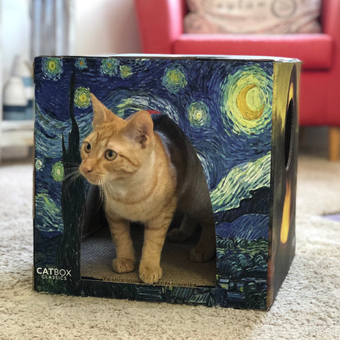 Furry masterpieces cardboard cat house