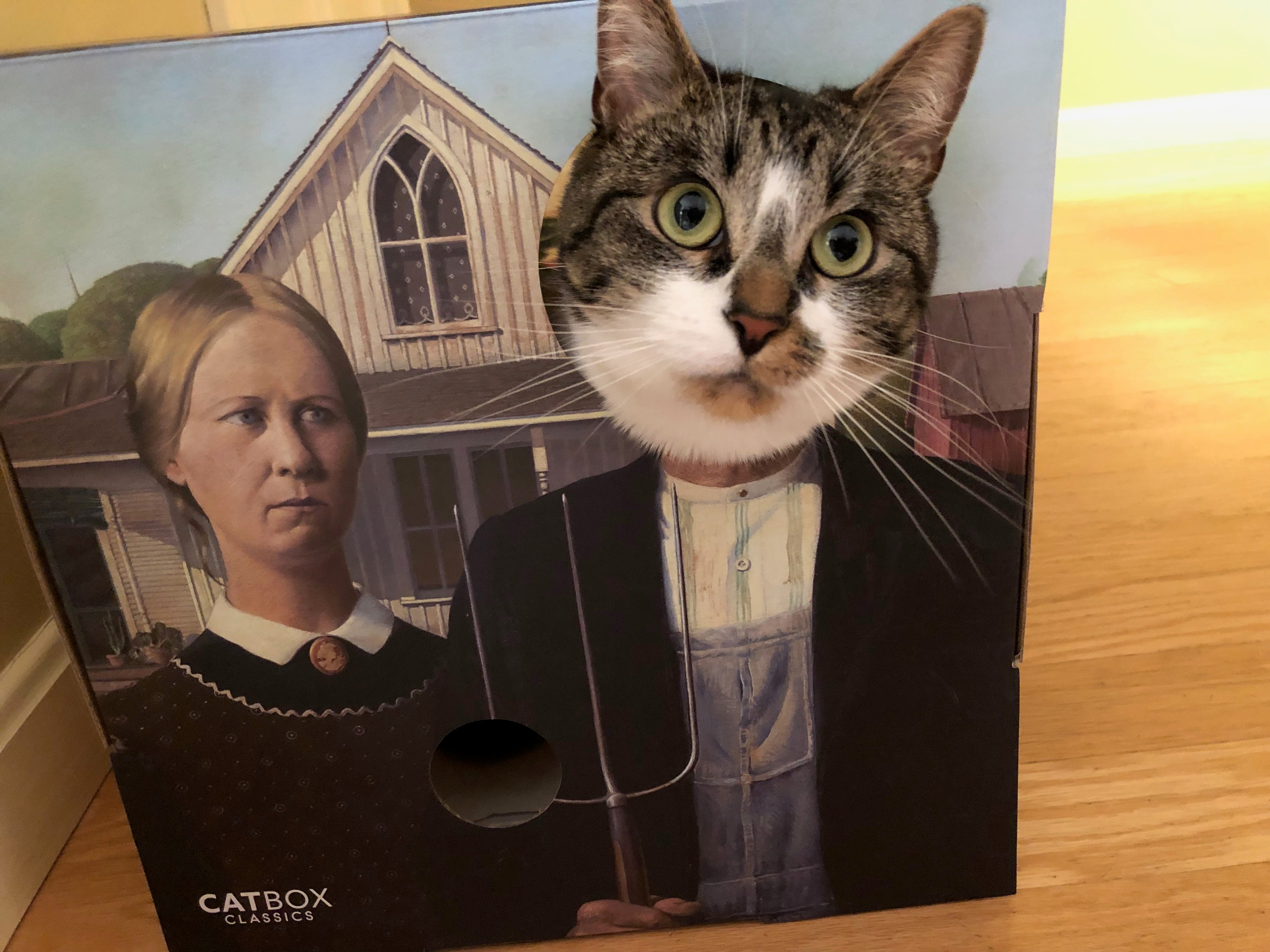 Caturday Cat Lily as the farmer in American Gothic in the furry masterpieces cardboard cat house