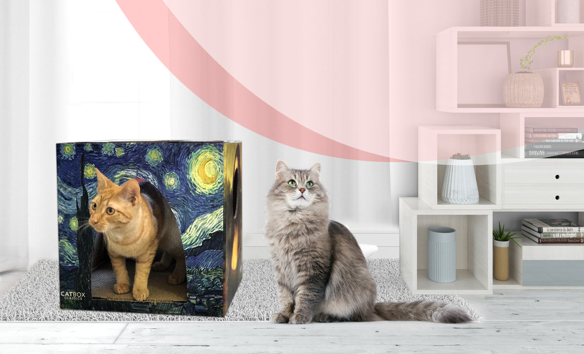 Cat Box Classics Cardboard Cat Houses with Orange Tabby Cat