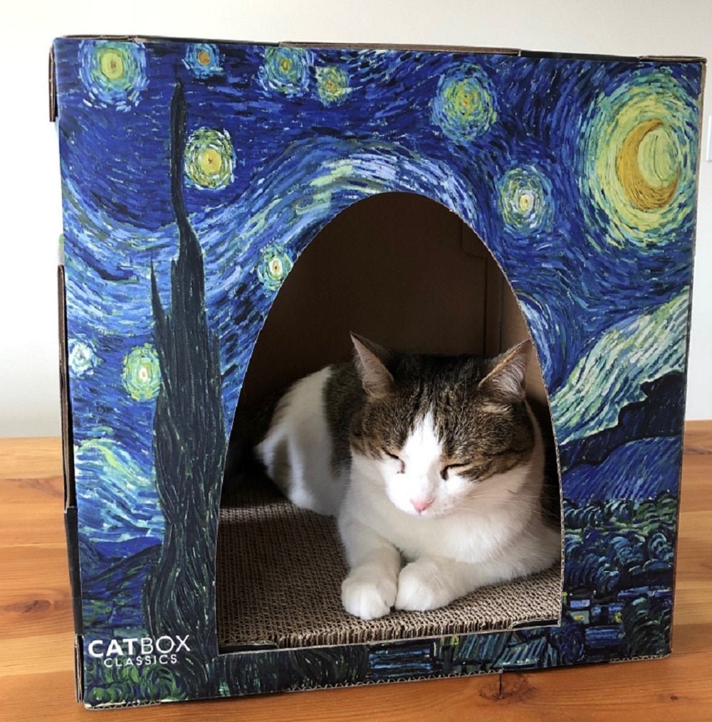 Beautiful cat sleeping inside starry night entrance to the furry masterpieces cardboard cat house