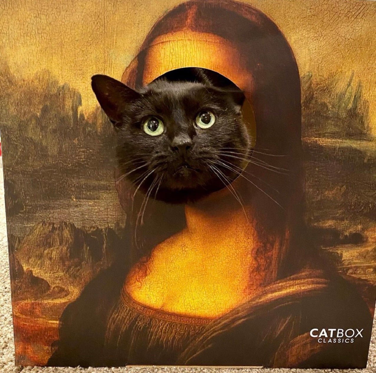 Black cat has the Mona Lisa in the furry masterpieces cardboard cat house