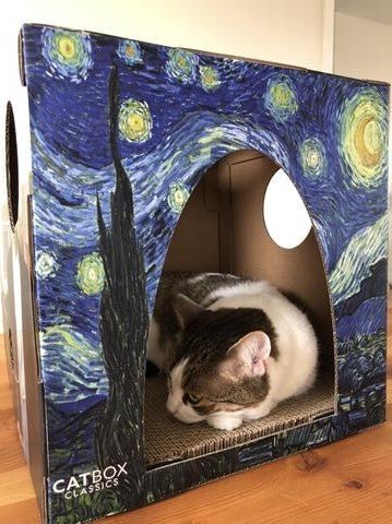 Cat curled up inside Furry Masterpieces Cardboard Cat House