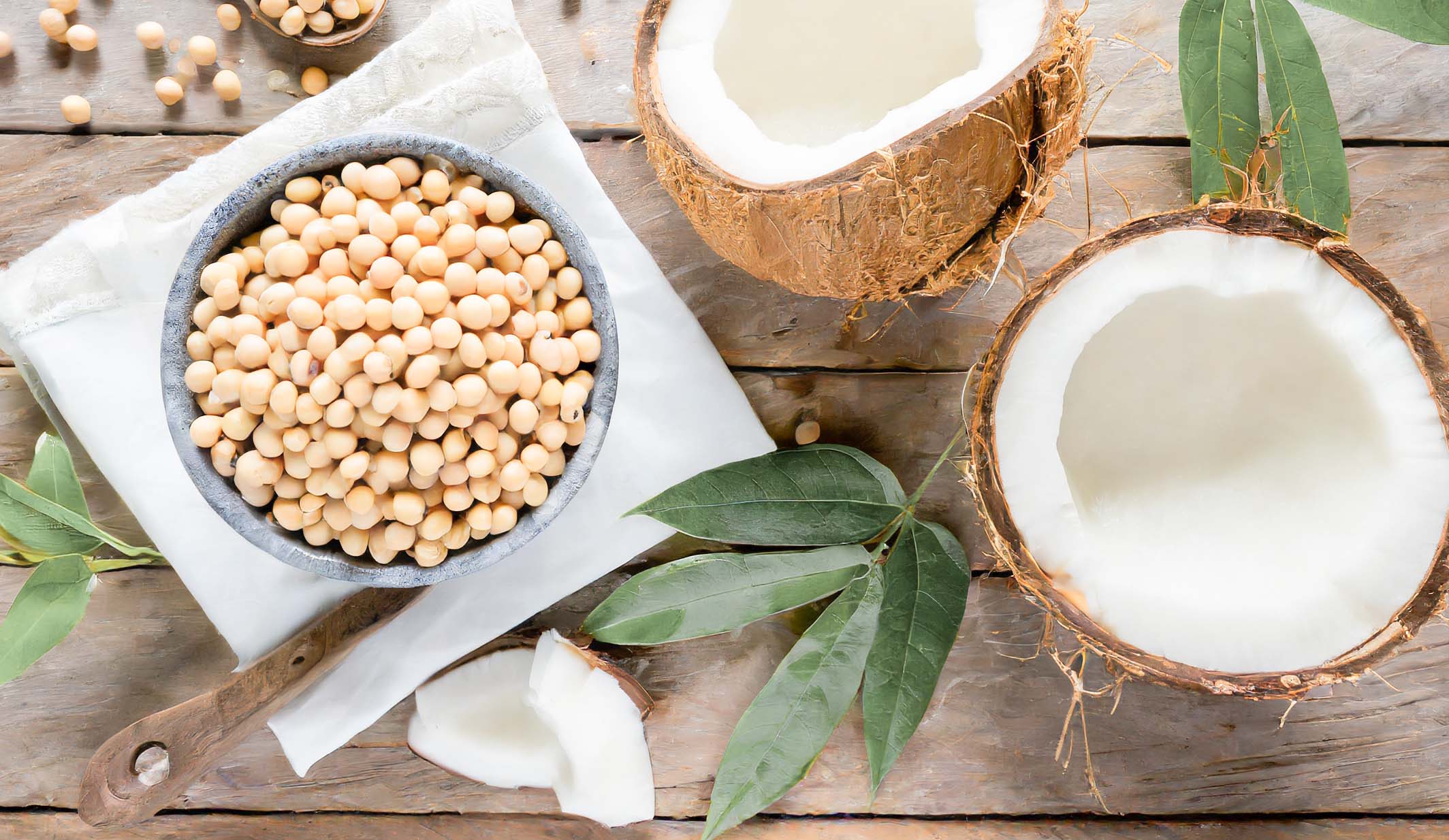 Soybeans in marble bowl, cut coconut, and green foliate on wood table.