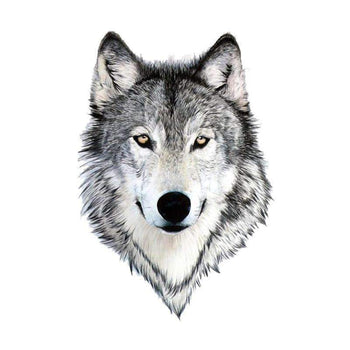 Wolf Head Drawing Tattoo Wolf Hybrid
