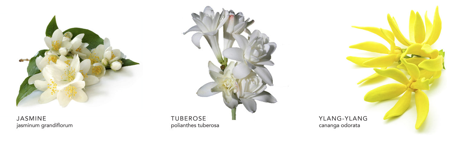 tuberose and jasmine