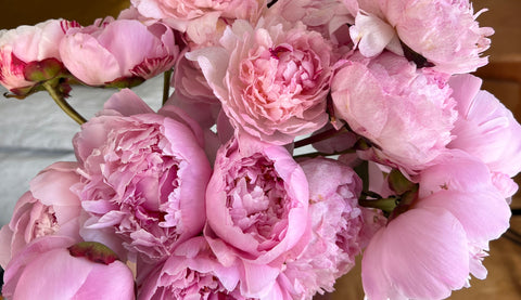 8 Consejos para decorar con Peonias – Les Fleurs España