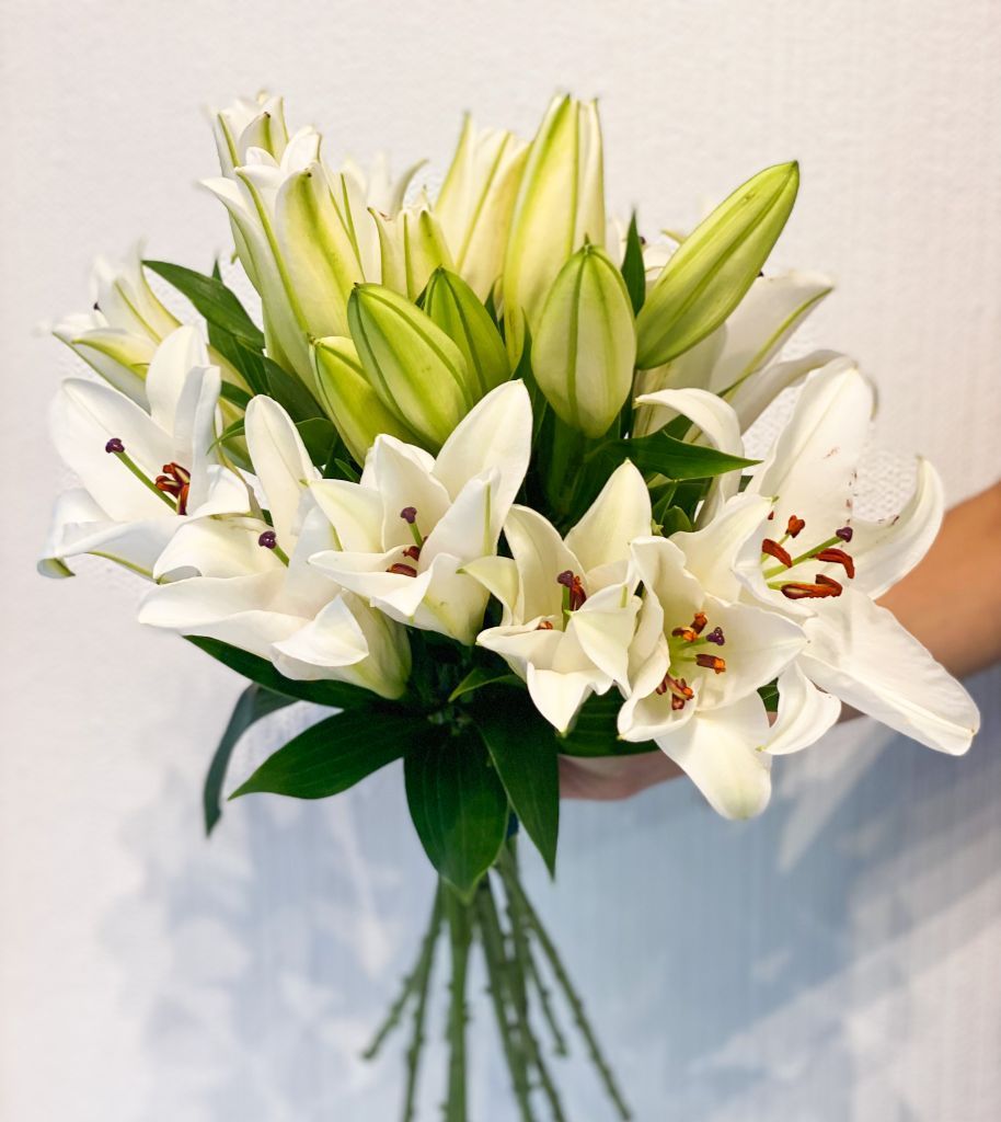 Floristeria Les Fleurs - Ramo de lilium, Envia Flores a Hoy! – Les Fleurs  España