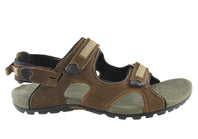 ASICS CLEARANCE maron ASICS CLEARANCE maron