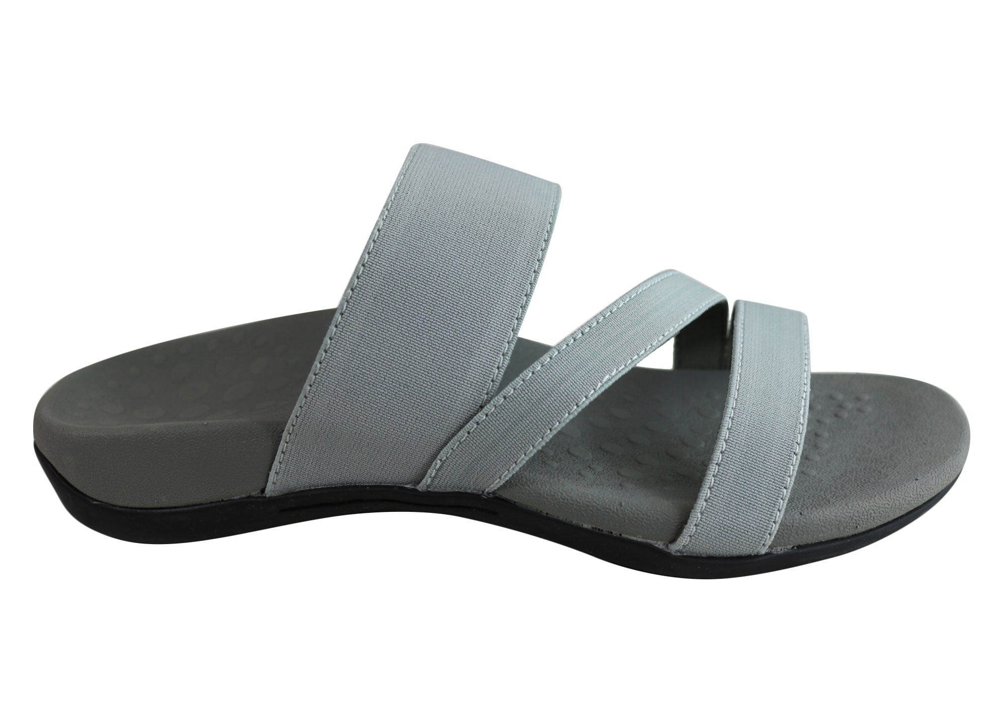 scholl slides