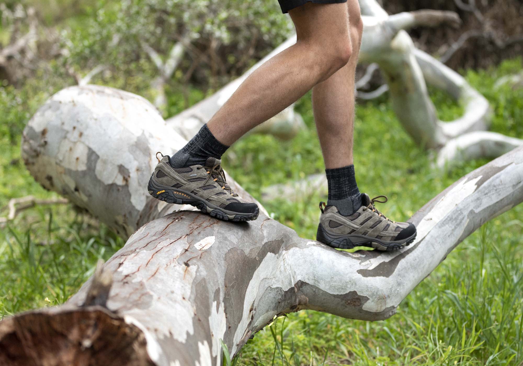 merrell men's moab 2 gtx hiking shoe