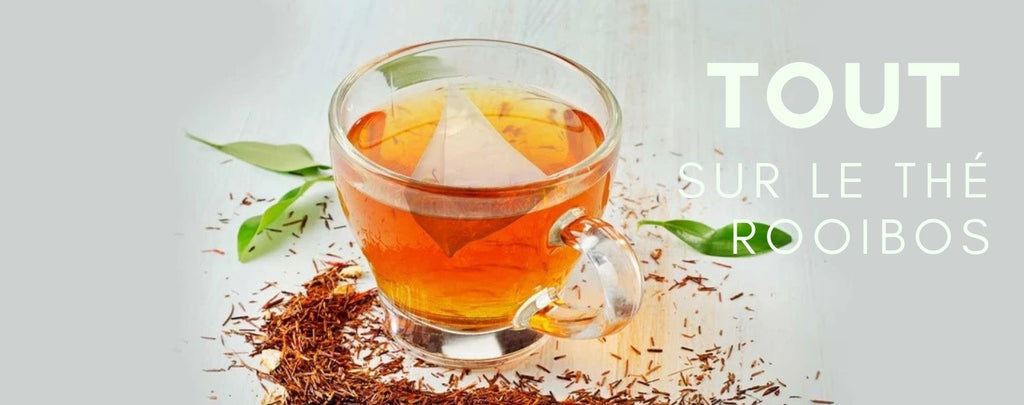 Tout sur le thé Rooibos