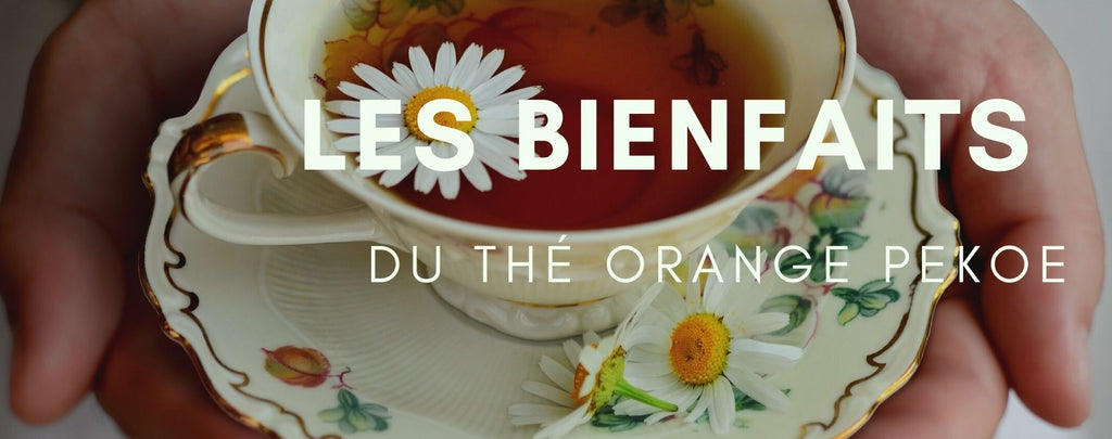 Les bienfaits pour la santé de la consommation de thé Orange Pekoe