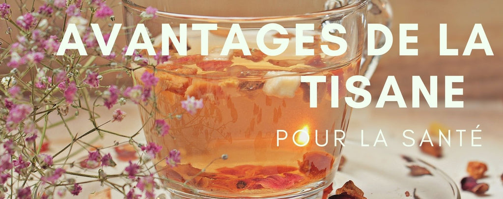 Avantages de la tisane pour la santé (Tisane) Ingrédients