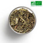 Thé vert nature China Sencha spécial