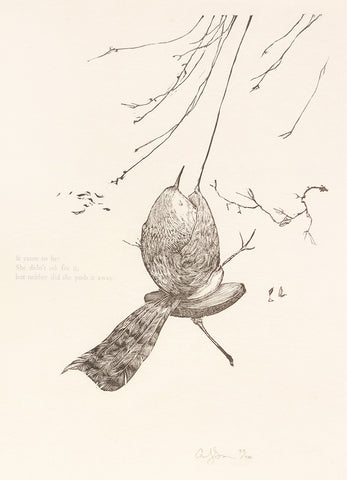 bird sitting on swing. Illustration