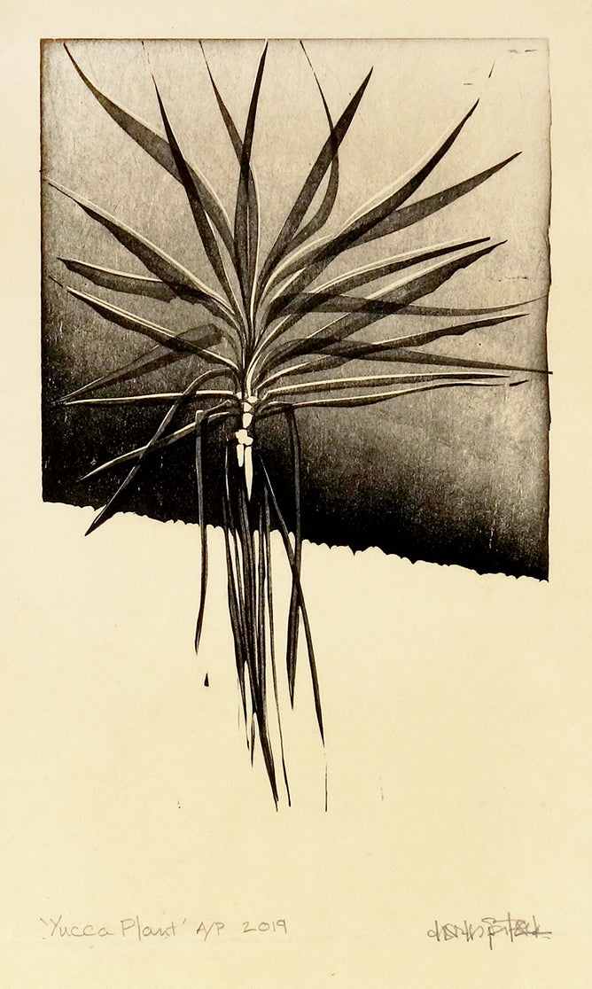 Charles Spitzack's "Yucca Plant." Black and white image of a yucca plant in a graphic style.