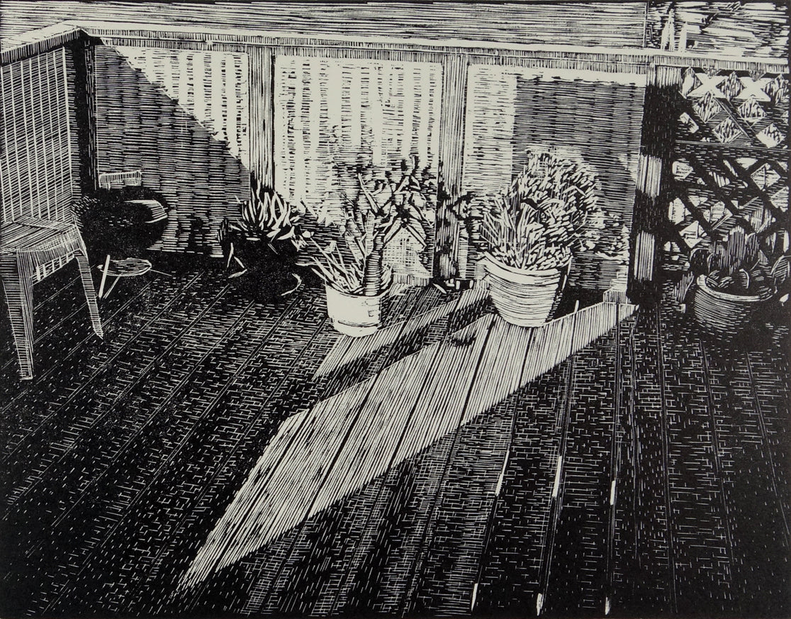 Toru Sugita's "On My Balcony I." Black and white scene of a balcony in sunlight with potted plants.