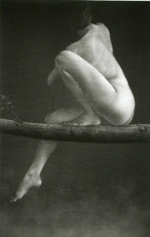 Mikio Watanabe, 'Sur la Branche.' Nude figure sitting on a branch seen from behind, one leg folded up the other reaching down, figure is turning away from the viewer.