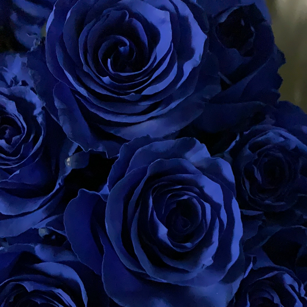 Rose bleu /Blue roses – Venusfleurs