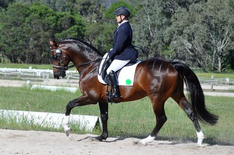 Sponsored Rider Cheryl Hatswell - Flexible Fit Equestrian