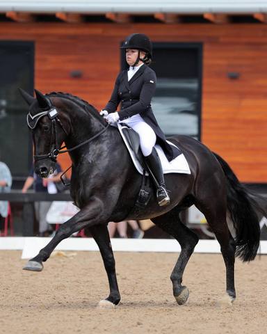 Sponsored Rider Natasha Moody - Flexible Fit Equestrian