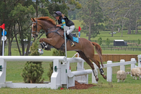 Sponsored Rider Penny Johnson - Flexible Fit Equestrian