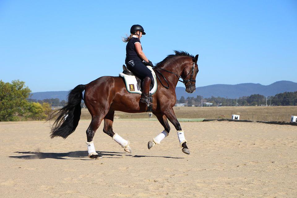 Sponsored Rider Verity Spargo - Flexible Fit Equestrian