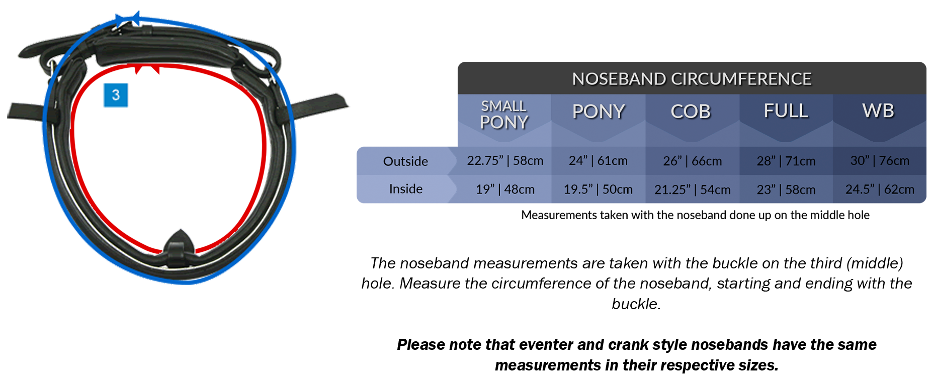 horse bridle noseband size measurement chart