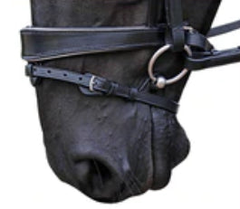 how to choose an anatomical noseband for your horse