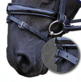 how to choose a converter noseband for your horse