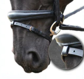 how to choose a hanoverian noseband for your horse