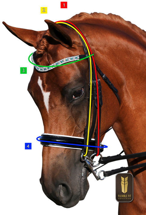 how to measure horse for double monocrown bridle