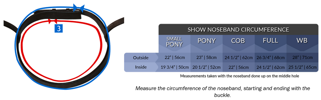 measurement for noseband show snaffle 