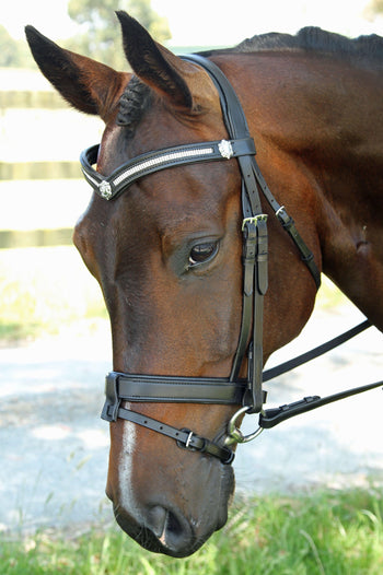 Products – FFEquestrian AU