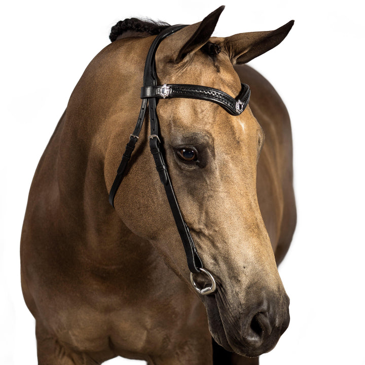 Nosebandless Bridles