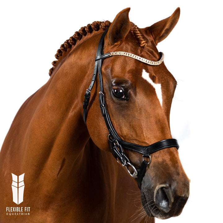 Comfort 2 in 1 Bridles