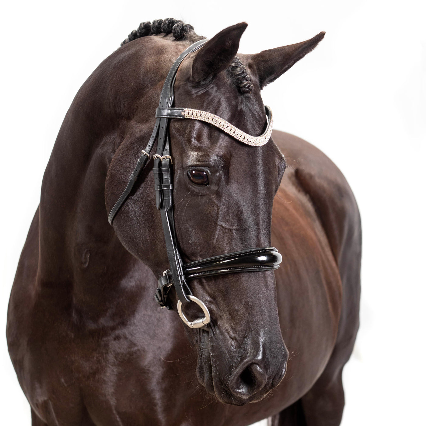 Black Premium Gel Snaffle Bridles