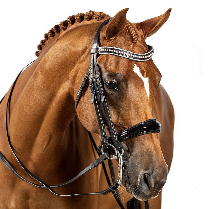 Double Bridles