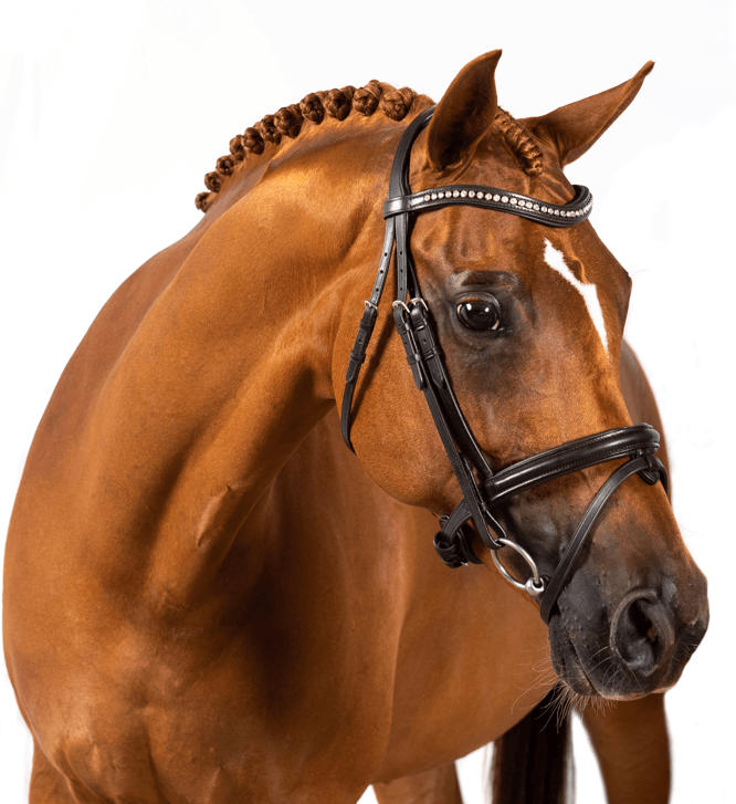 Havana Premium Gel Snaffle Bridles