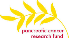 pancreatic cancer research fund