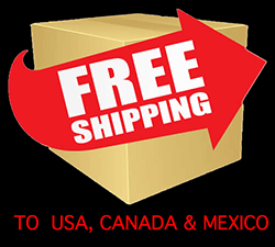 Free Shipping