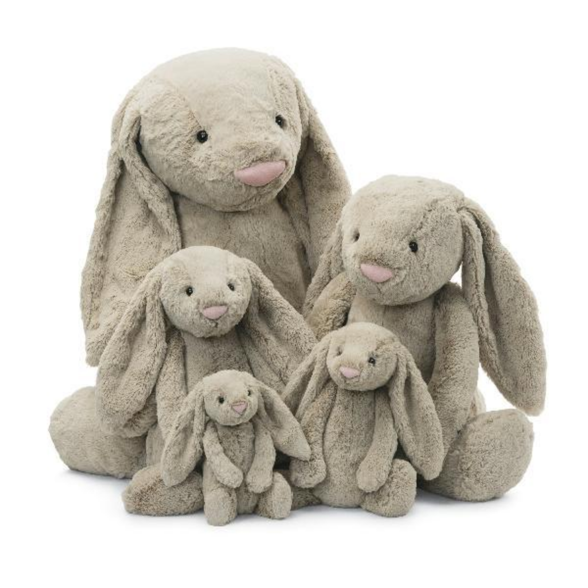 Jellycat - Bashful Beige Bunny – Scooter Girl Toys