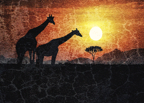 Evening on the Serengeti