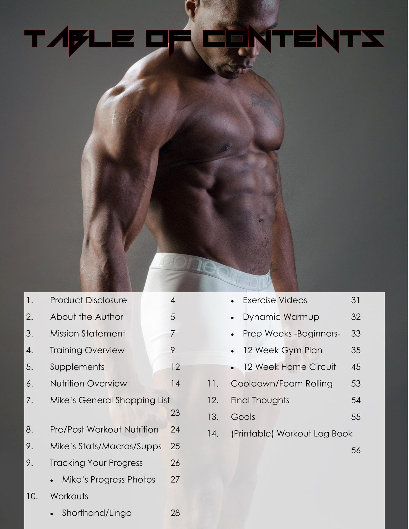 fivesixninedesigns: Home Gym Workout Program Download